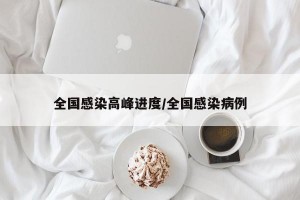 全国感染高峰进度/全国感染病例