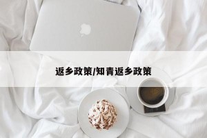 返乡政策/知青返乡政策