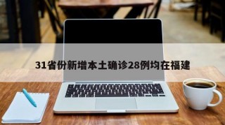 31省份新增本土确诊28例均在福建